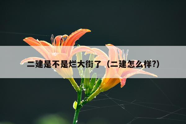 二建是不是烂大街了（二建怎么样?）