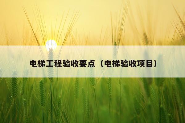 电梯工程验收要点（电梯验收项目）