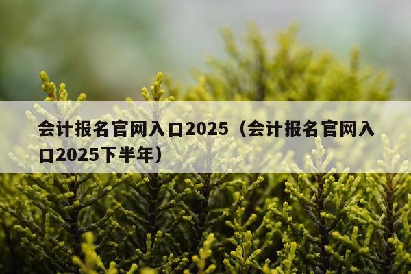 会计报名官网入口2025(会计报名官网入口2025下半年)