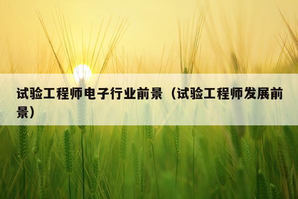 试验工程师电子行业前景(试验工程师发展前景)