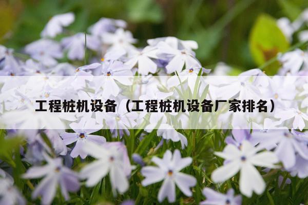 工程桩机设备(工程桩机设备厂家排名)