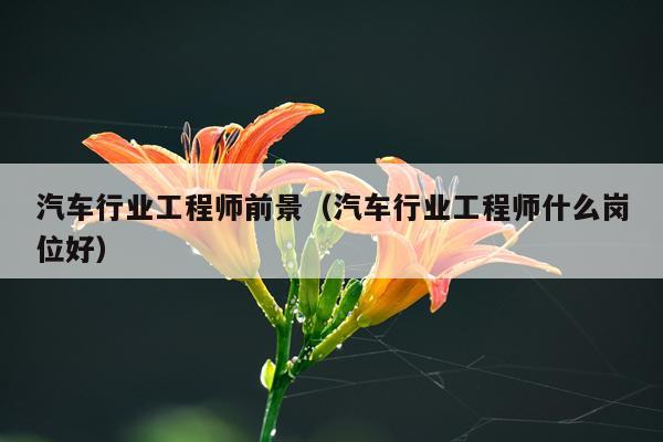 汽车行业工程师前景（汽车行业工程师什么岗位好）