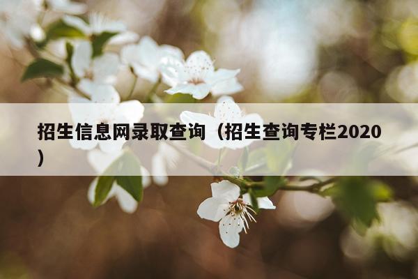 招生信息网录取查询（招生查询专栏2020）