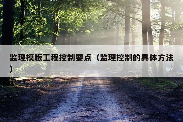 监理模版工程控制要点（监理控制的具体方法）