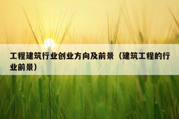 工程建筑行业创业方向及前景（建筑工程的行业前景）