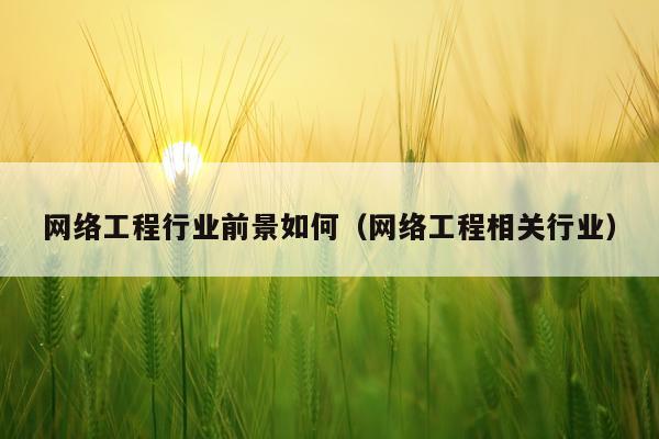 网络工程行业前景如何（网络工程相关行业）