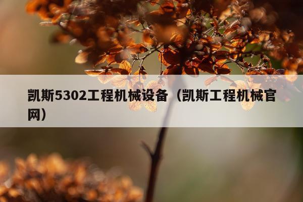 凯斯5302工程机械设备（凯斯工程机械官网）