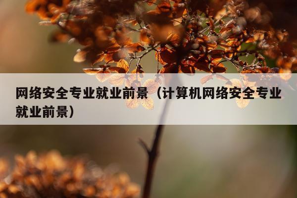 网络安全专业就业前景（计算机网络安全专业就业前景）