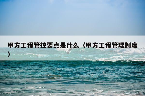 甲方工程管控要点是什么（甲方工程管理制度）
