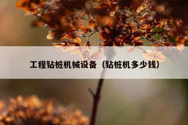 工程钻桩机械设备（钻桩机多少钱）