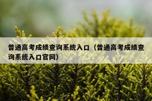 普通高考成绩查询系统入口（普通高考成绩查询系统入口官网）