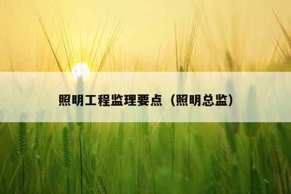 照明工程监理要点（照明总监）