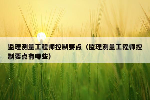监理测量工程师控制要点（监理测量工程师控制要点有哪些）