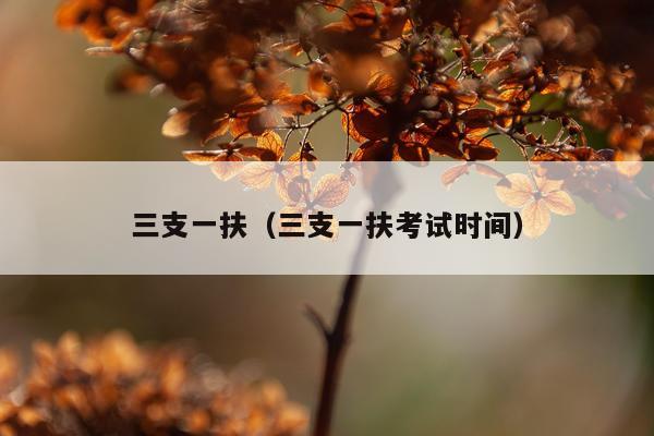 三支一扶（三支一扶考试时间）