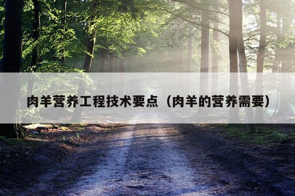 肉羊营养工程技术要点（肉羊的营养需要）