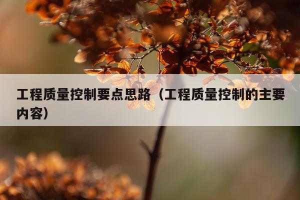 工程质量控制要点思路（工程质量控制的主要内容）