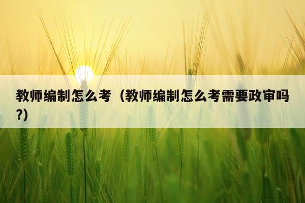 教师编制怎么考(教师编制怎么考需要政审吗?)