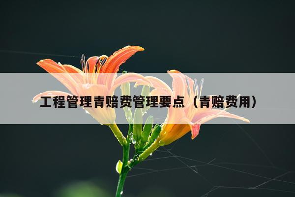 工程管理青赔费管理要点（青赔费用）