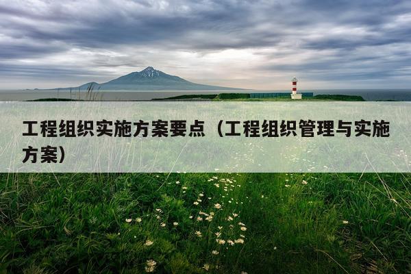工程组织实施方案要点（工程组织管理与实施方案）