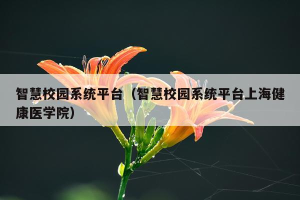 智慧校园系统平台（智慧校园系统平台上海健康医学院）