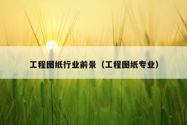 工程图纸行业前景（工程图纸专业）