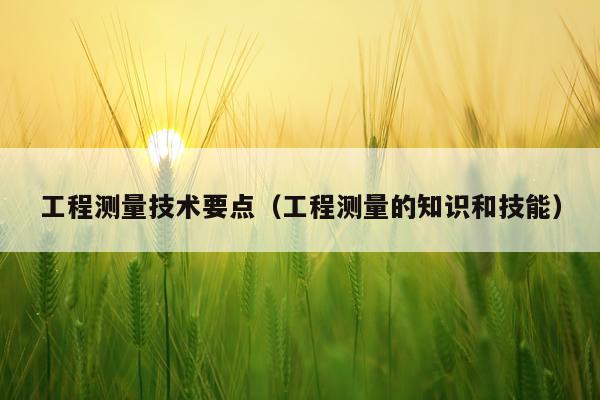 工程测量技术要点（工程测量的知识和技能）