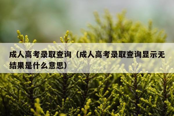 成人高考录取查询（成人高考录取查询显示无结果是什么意思）