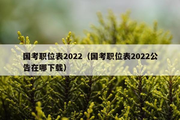 国考职位表2022（国考职位表2022公告在哪下载）