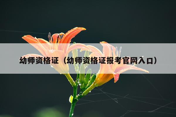 幼师资格证（幼师资格证报考官网入口）
