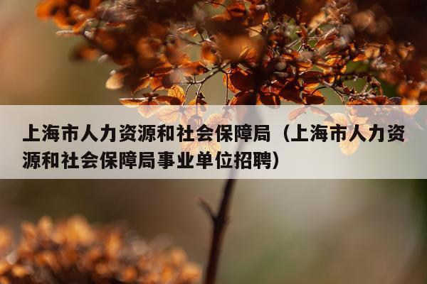 上海市人力资源和社会保障局（上海市人力资源和社会保障局事业单位招聘）