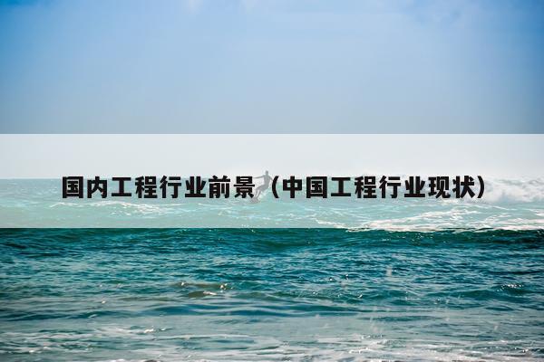 国内工程行业前景（中国工程行业现状）