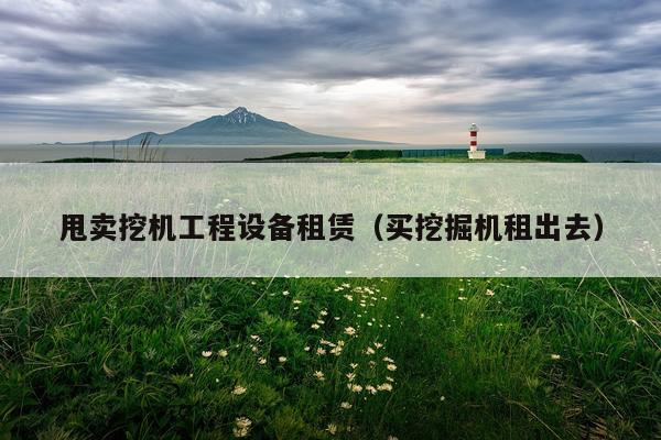 甩卖挖机工程设备租赁（买挖掘机租出去）