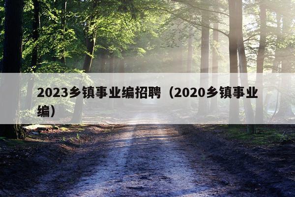 2023乡镇事业编招聘（2020乡镇事业编）