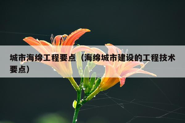 城市海绵工程要点（海绵城市建设的工程技术要点）