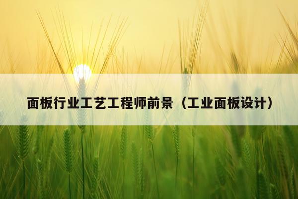 面板行业工艺工程师前景(工业面板设计)
