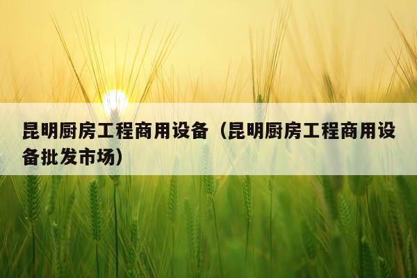 昆明厨房工程商用设备（昆明厨房工程商用设备批发市场）