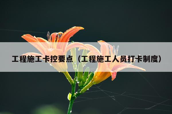 工程施工卡控要点（工程施工人员打卡制度）