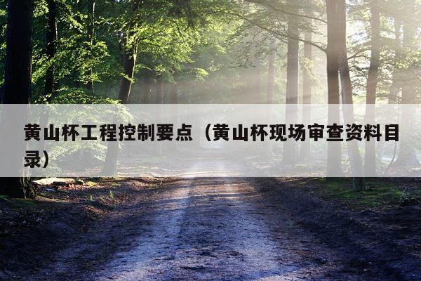黄山杯工程控制要点（黄山杯现场审查资料目录）