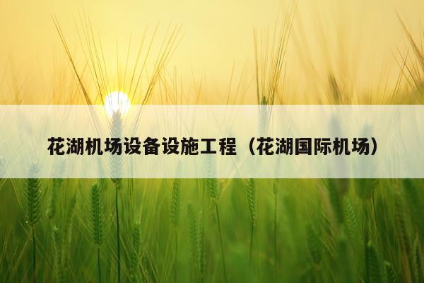 花湖机场设备设施工程（花湖国际机场）