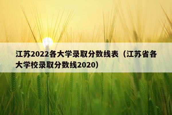 江苏2022各大学录取分数线表（江苏省各大学校录取分数线2020）