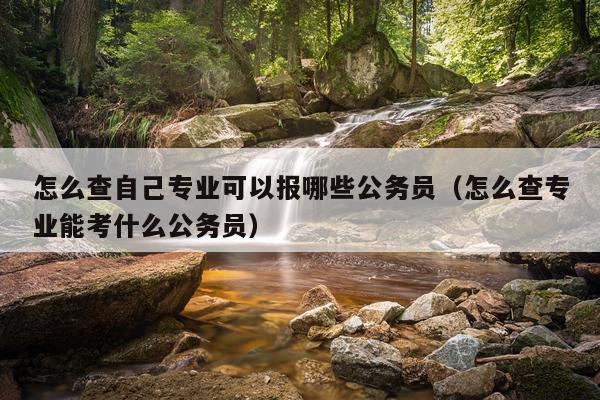 怎么查自己专业可以报哪些公务员（怎么查专业能考什么公务员）