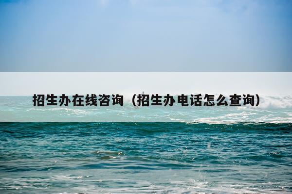 招生办在线咨询（招生办电话怎么查询）