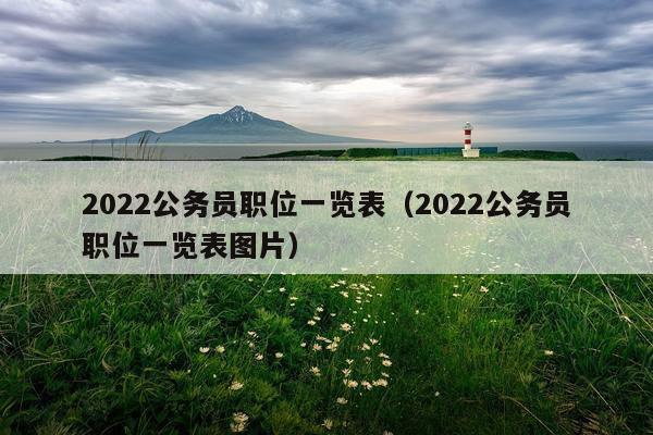 2022公务员职位一览表（2022公务员职位一览表图片）