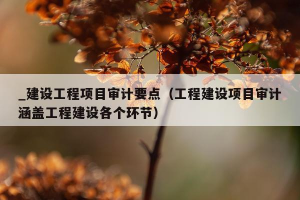 _建设工程项目审计要点（工程建设项目审计涵盖工程建设各个环节）