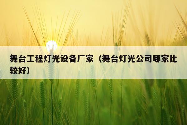 舞台工程灯光设备厂家（舞台灯光公司哪家比较好）