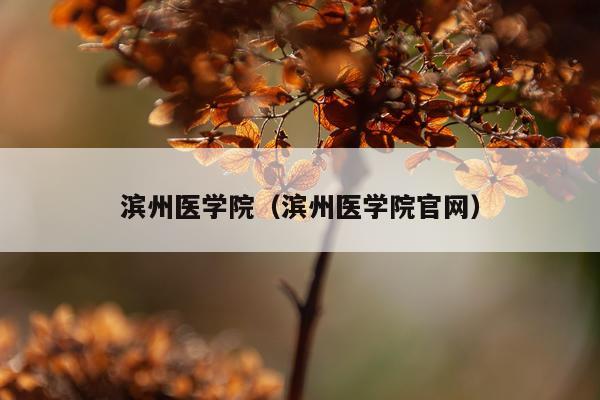 滨州医学院（滨州医学院官网）