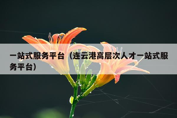 一站式服务平台（连云港高层次人才一站式服务平台）