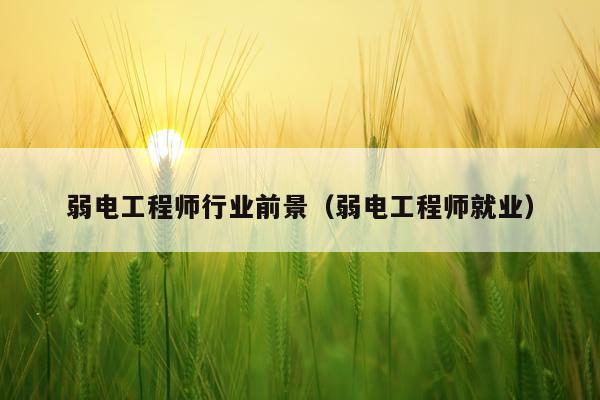 弱电工程师行业前景（弱电工程师就业）