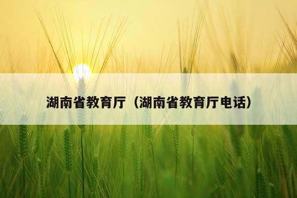 湖南省教育厅（湖南省教育厅电话）