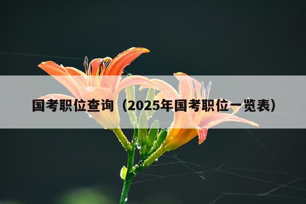 国考职位查询（2025年国考职位一览表）